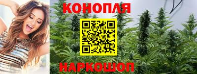 ALPHA PVP Заволжье