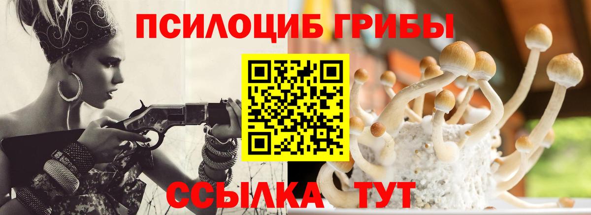 Псилоцибиновые грибы Psilocybine cubensis Лосино-Петровский